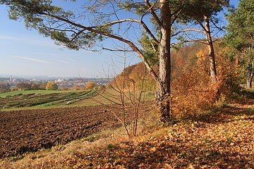 Riesrand im Herbst bei Oettingen