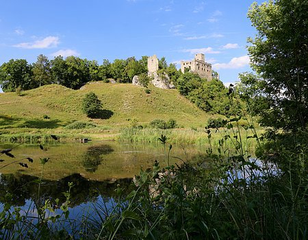 Burg Niederhaus