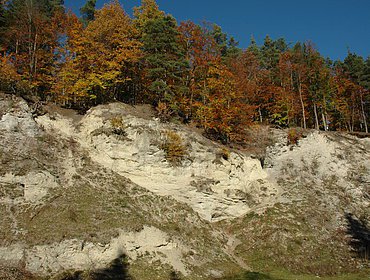 Geotop am Lehrpfad Kühstein in Mönchsdeggingen