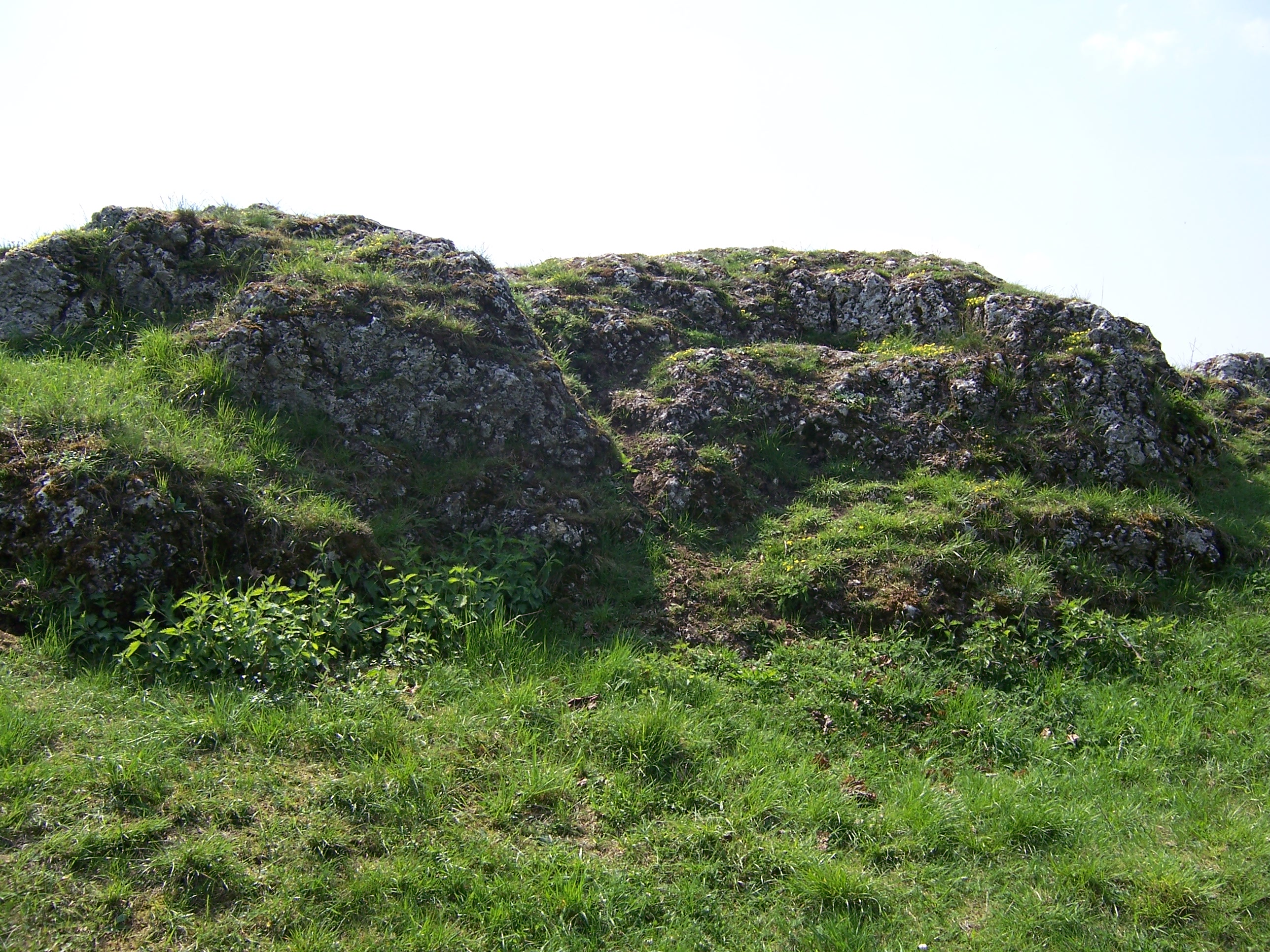 Bergkuppe des Bubenheimer Bergs Geopark Ries