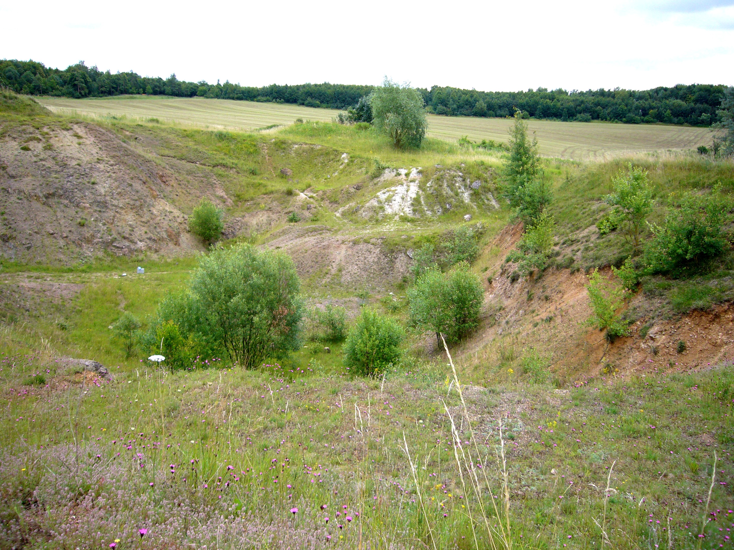 Geotope Klosterberg, Maihingen Geopark Ries