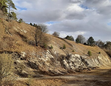 Geotop Kalvarienberg Gosheim