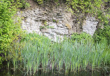 Geopark Ries Mai 2023 Geopark Ries Mai 2023