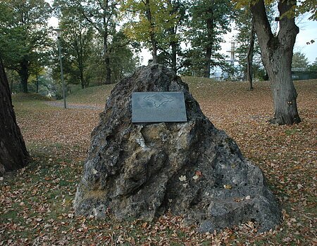 Sternschanze am Schellenberg in Donauwörth