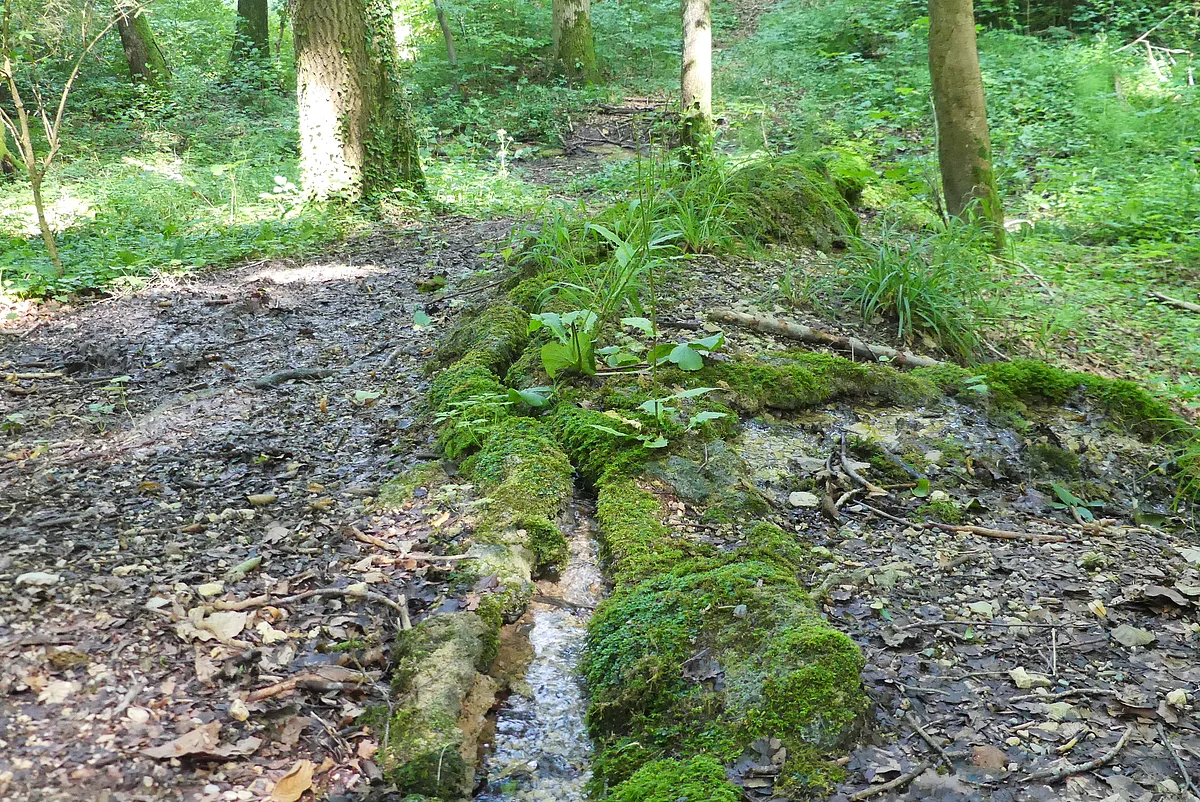 Steinerne Rinne nördlich von Hechlingen - Geopark Ries