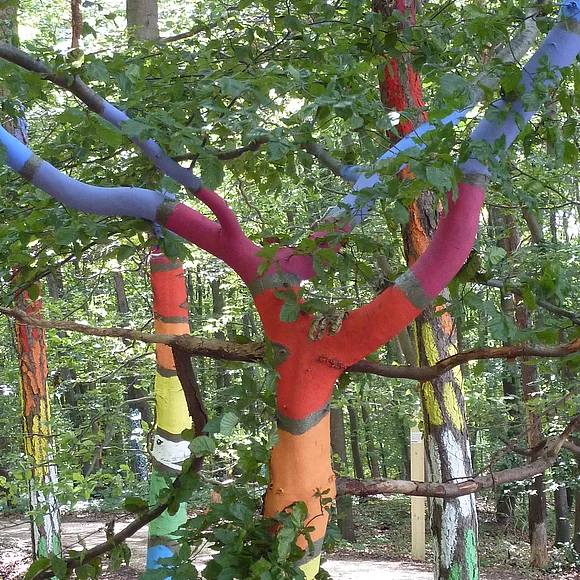 Bäume in Regenbogenfarben im Kunstwald in Mönchsdeggingen