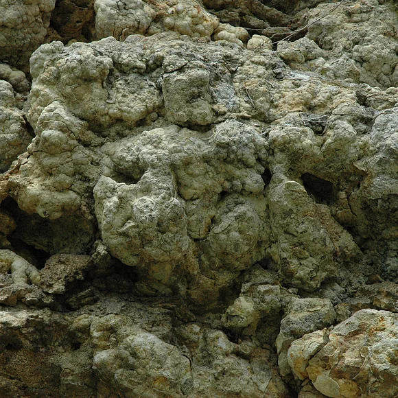 Detail Geotop Burschel Hainsfarth Detailaufnahme des Gesteins im Geotop Burschel in Hainsfarth.