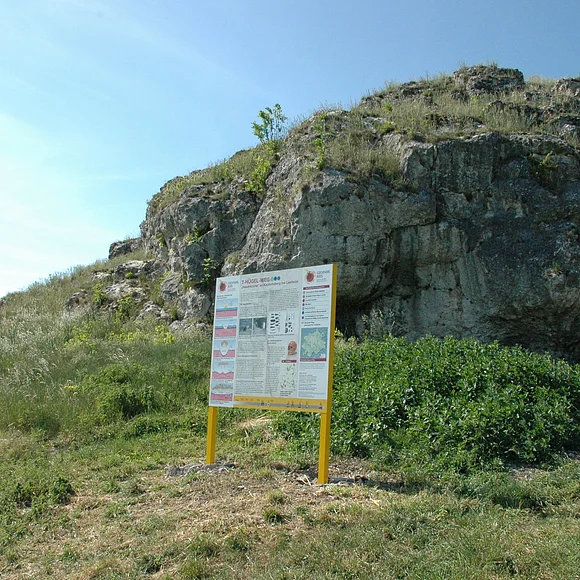 Außenansicht auf die Hexenküche bei Lierheim mit davor stehender Infotafel.