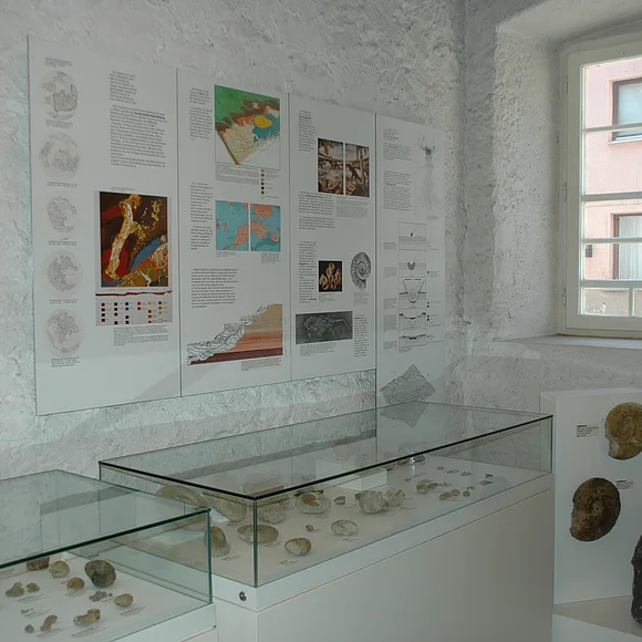 Ausstellung zur Archäologie im Museum im Seelhaus in Bopfingen Blick auf Vitrinen mit archäologischen Ausstellungsstücken