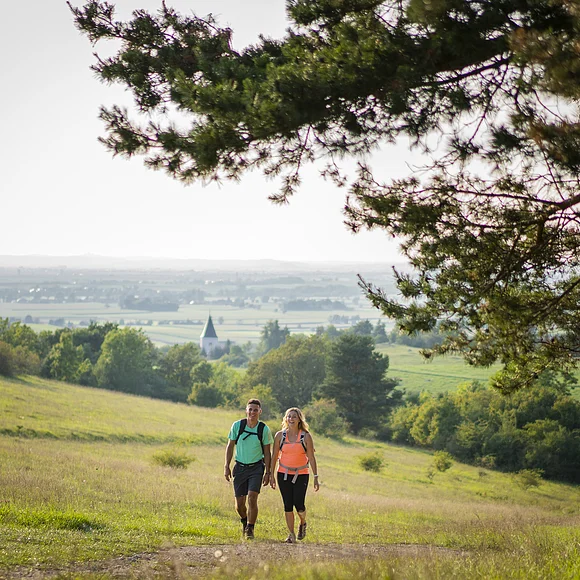 Wandern & Erholung in der Monheimer Alb Mähhorn Huisheim