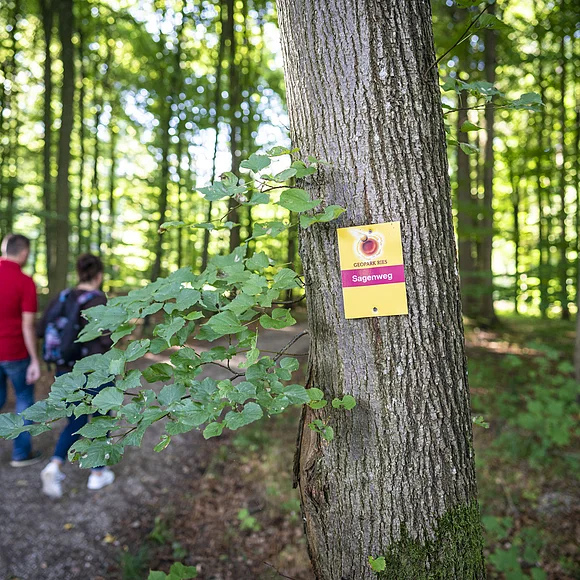 Ein wanderndes Paar ist im Wald auf dem Sagenweg unterwegs.