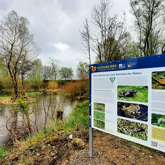 An einem kleinen See steht eine Informationstafel mit Bildern von Kröten.