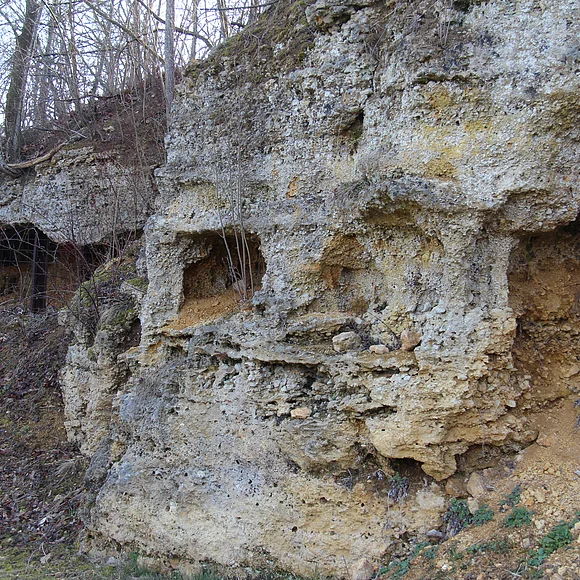 Der Hang wird von einer steil aufragenden, aber intensiv geklüfteten und ausgehöhlten Felswand gebildet.