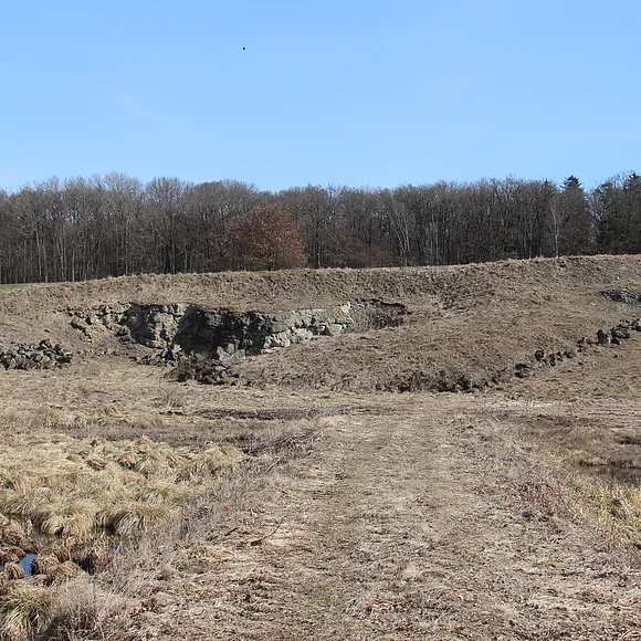 In einer sanft ansteigenden Wiese befindet sich eine Stufe mit aufgeschlossenem Gestein. Im unteren Bereich steht Wasser auf der Wiese.