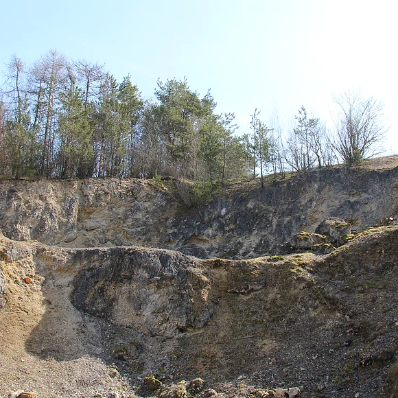 Ein aufgelassener Steinbruch besteht aus zwei hohen Stufen. Oberhalb der Anbruchkante stehen einige Bäume.