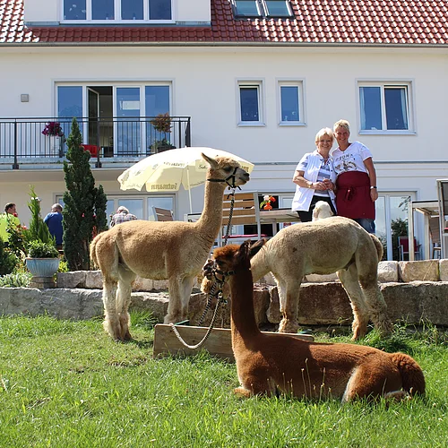 Zwei Frauen stehen nebeneinander hinter drei Alpakas, die auf einer Wiese grasen. Im Hintergrund ist ein Haus mit weißer Fassade zu sehen.