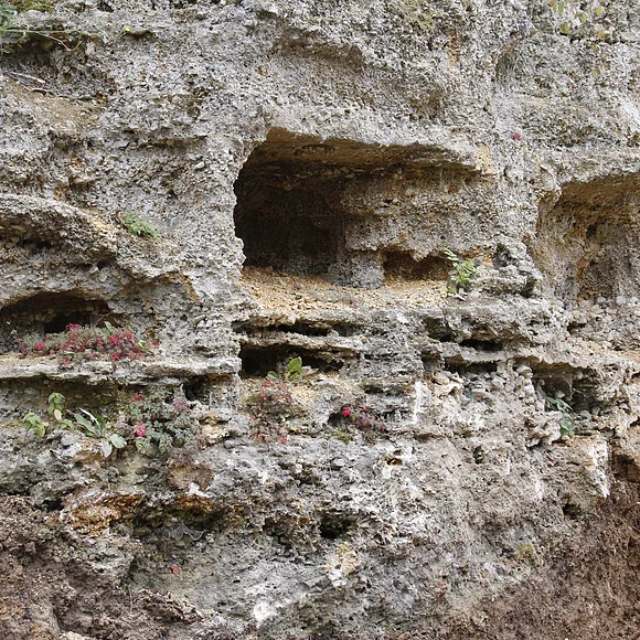 Eine Felswand ist geklüftet und weist große Löcher auf.