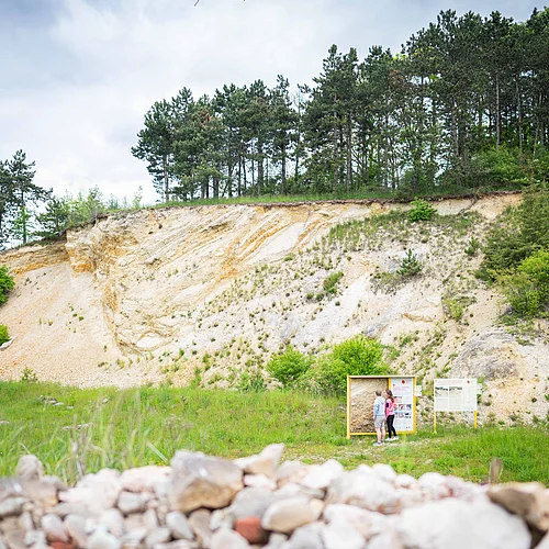 Zwei Personen betrachten an einer Lehrtafel das Sediment-Transfer-Präparat, das an der dahinter liegenden Felswand entnommen wurde.