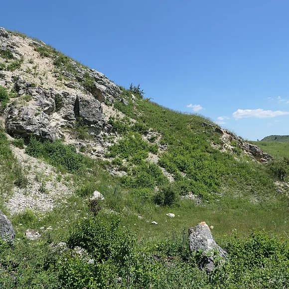 Die Wiese eines Hügels zeigt Lücken mit Felsbrocken und Schutt.