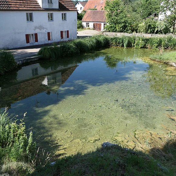 Ein flacher, klarer Weiher ist von Gras umgeben. Dahinter schließt sich eine Straße und Häuser an.
