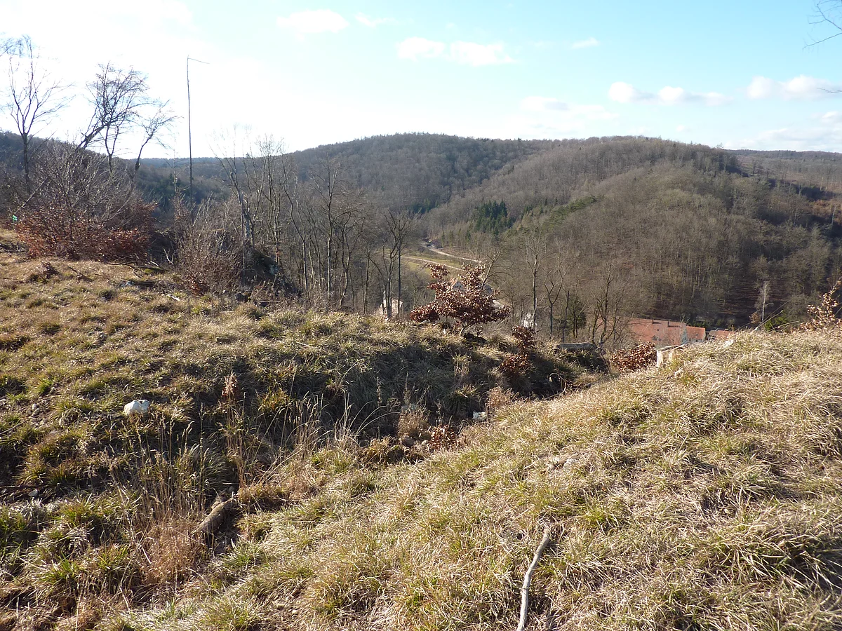 Von der grasbewachsenen Kuppe eines Hügels aus sind die bewaldeten Hügel auf der anderen Seite des Tals zu sehen.