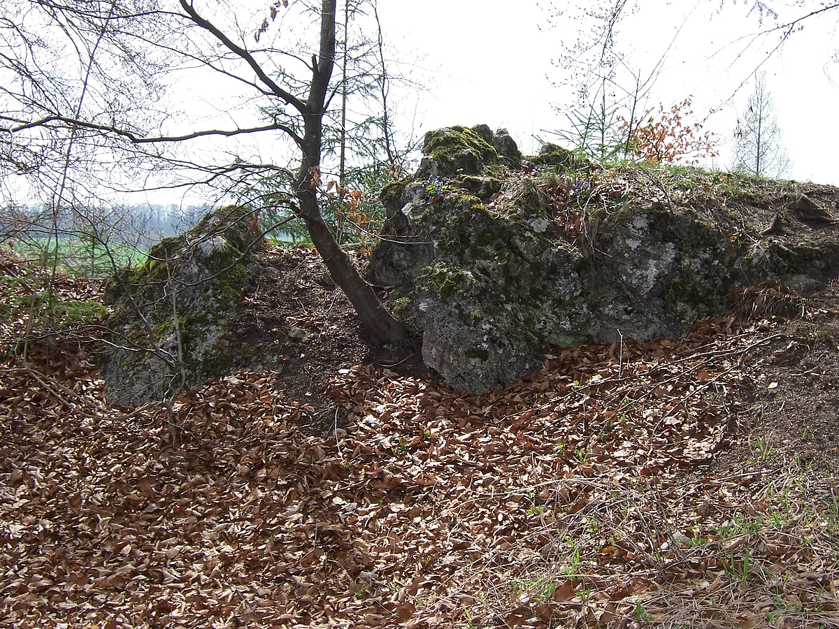 An einem Waldrand befindet sich auf einem Wall ein verwitterter und mit Moos überwachsener Felsblock.