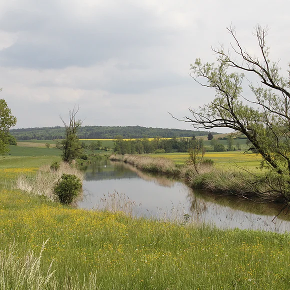 Ein kleiner Fluss fließt sehr langsam und wird zu beiden Seiten von Wiesen begrenzt.