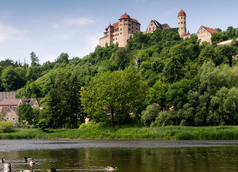 Eine Burg steht auf einem bewaldeten Hügel. Im Vordergrund schwimmen Enten auf einem Fluss.