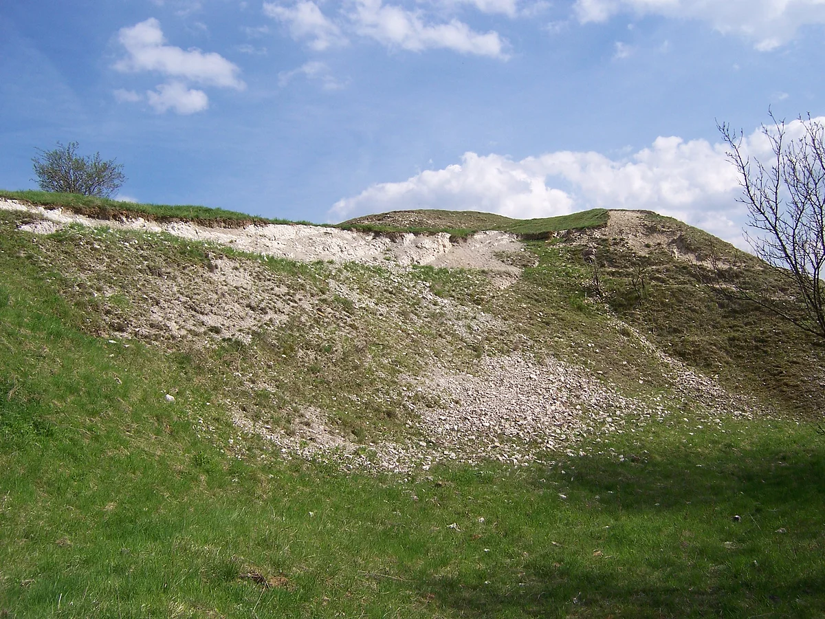Der Hanganriss an einem Hügel zeigt Gestein, dessen Bruchstücke über die darunter liegende Wiese verstreut sind.