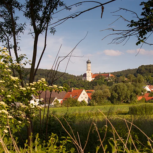 Durch die Lücke zwischen zwei Bäumen ist in der Ferne eine von Wald umgebene Siedlung mit Kirchturm zu sehen.