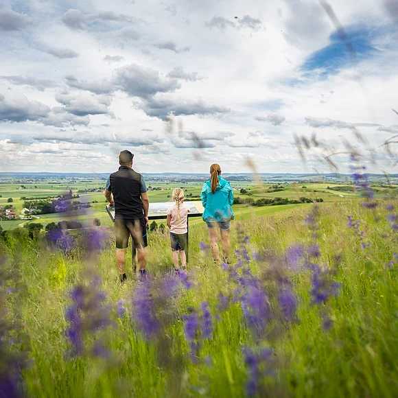 Geopark-Ries Juni 2022 Eine Familie steht hinter einer Panoramatafel auf einer Wiese und blickt in die weite Landschaft. Im Vordergrund sind lila Blumen zu sehen.