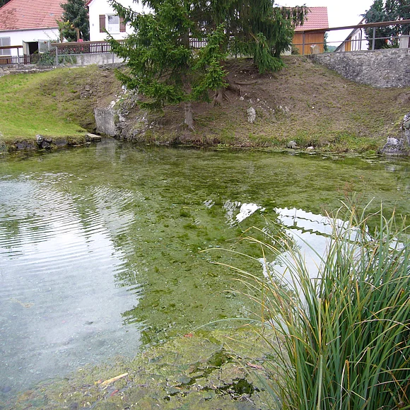 In einem kleinen flachen See befindet sich eine kleine Fontäne. Am oberen Bildrand sind Häuser zu erkennen.