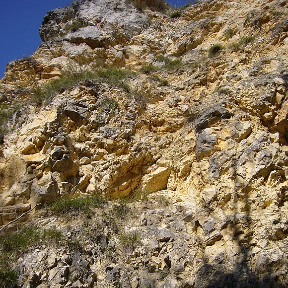 Eine Felswand mit hellen Gestein und vereinzelten Grasbüscheln ragt hoch auf.