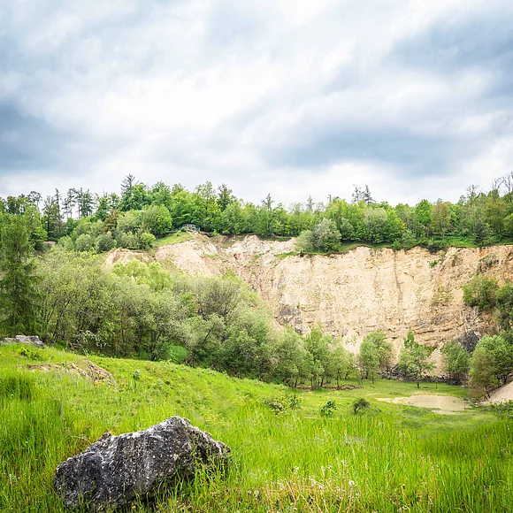Eine hohe Felswand eines ehemaligen Steinbruchs wird von Bäumen umrahmt.