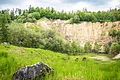 Eine hohe Felswand eines ehemaligen Steinbruchs wird von Bäumen umrahmt.