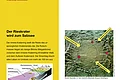 Geopark Infostelle Monheim Eine Informationstafel über den Rieskrater, seine geologische Entwicklung und die Fauna. Enthält Diagramme und Fotos von Fossilien. Oben rechts im Eck das Logo der Stadt Monheim, oben links das Logo vom Geopark Ries.