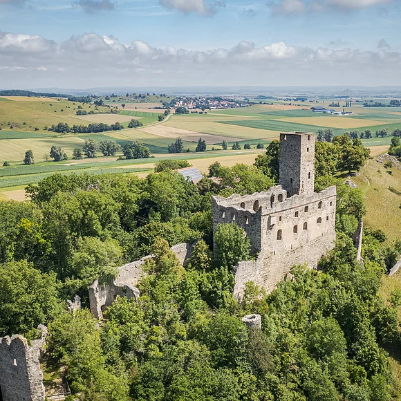 Luftbild auf die Burgruine Niederhaus Luftaufnahme der Burgruine Niederhaus inmitten von Bäumen, umgeben von Feldern und Hügeln der Rieslandschaft.
