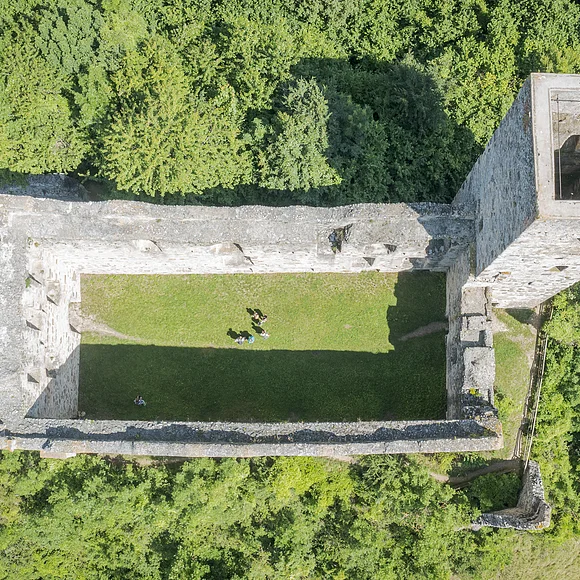 Burgruine Niederhaus von oben Luftaufnahme einer rechteckigen Burgruine mit einem Turm, umgeben von dichtem Wald.