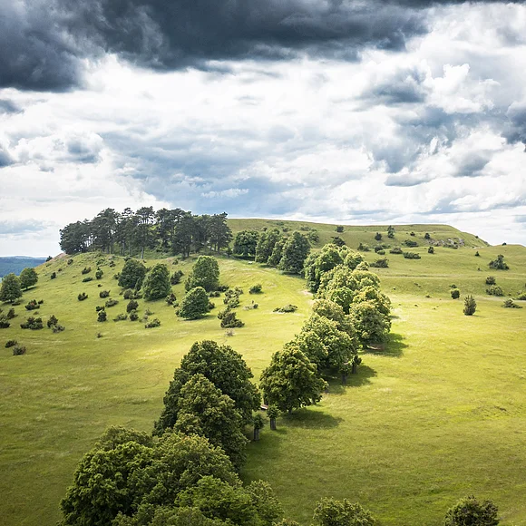 Der Ipf bei Bopfingen Hügelige Landschaft mit grünen Wiesen und Bäumen unter bewölktem Himmel.
