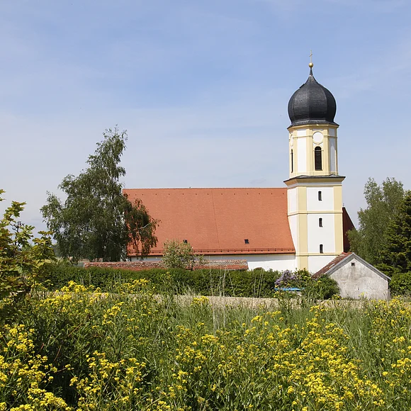 Blick auf die Pfarrkirche St. Martin mit ihrem Zwiebelturm. Im Vordergrund eine blühende Wiese.