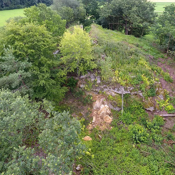 Aufschluss Stockiberg mit Vegetation