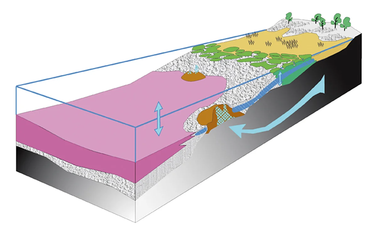 Schnitt durch das Kraterseeufer (G. Arp, Universität Göttingen) Eine schematische Zeichnung zeigt als Blockbild einen Schnitt durch das Ufer des Rieskratersees.