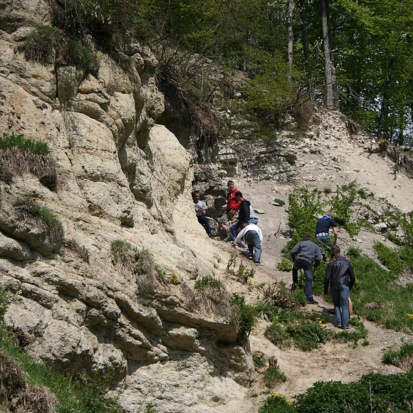 Geologisch Interessierte im Steinbruch Alte Bürg