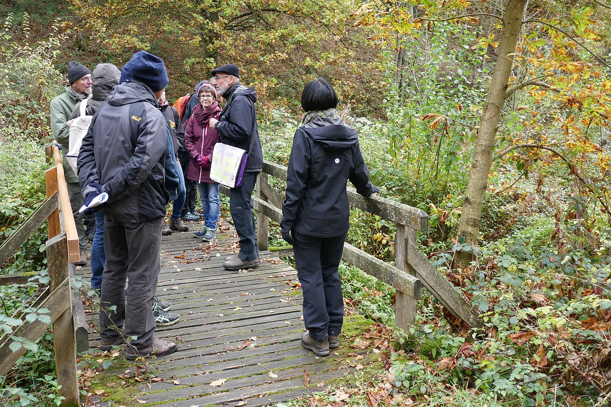 Eine Gruppe Personen steht auf einer Holzbrücke, die von dichter Vegetation umgeben ist.