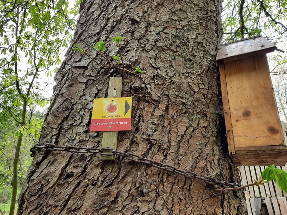 An einem Baum ist ein Wegweiserschild mit dem Logo des Geopark Ries für die Geotope Klosterberg angebracht.