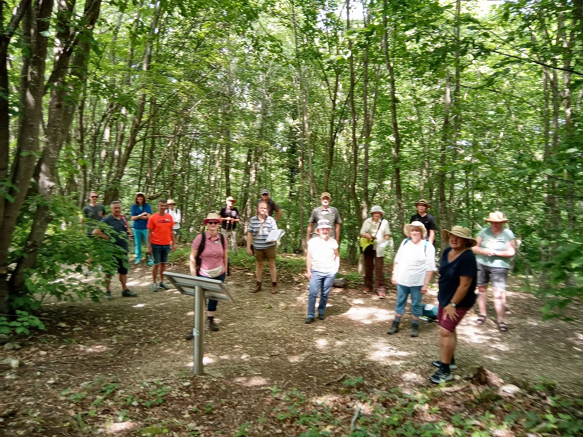 Mehrere Personen stehen in einem Wald aus niedrigen Bäumen. Im Vordergrund ist eine kleine Informationstafel von hinten zu sehen.