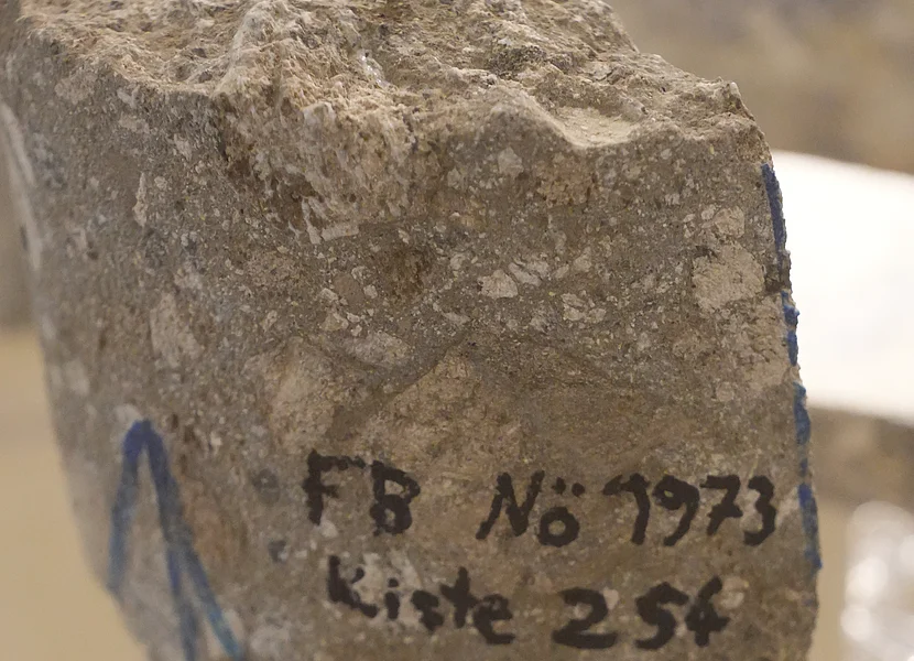 Suevit-Bohrkern Zu sehen ist ein Stück Bohrkern aus Suevit mit der Aufschrift (per Hand) FB NÖ 1973.