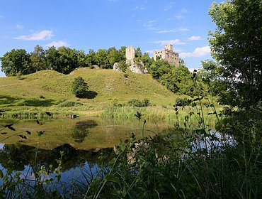 Ruins Niederhaus