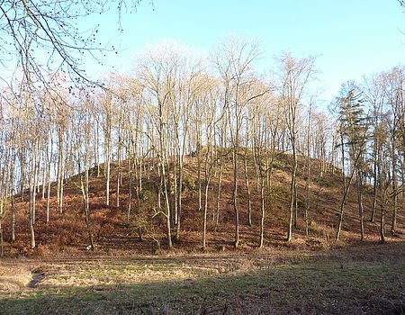 Burg Mauren