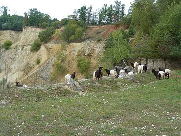 p1340300.jpg